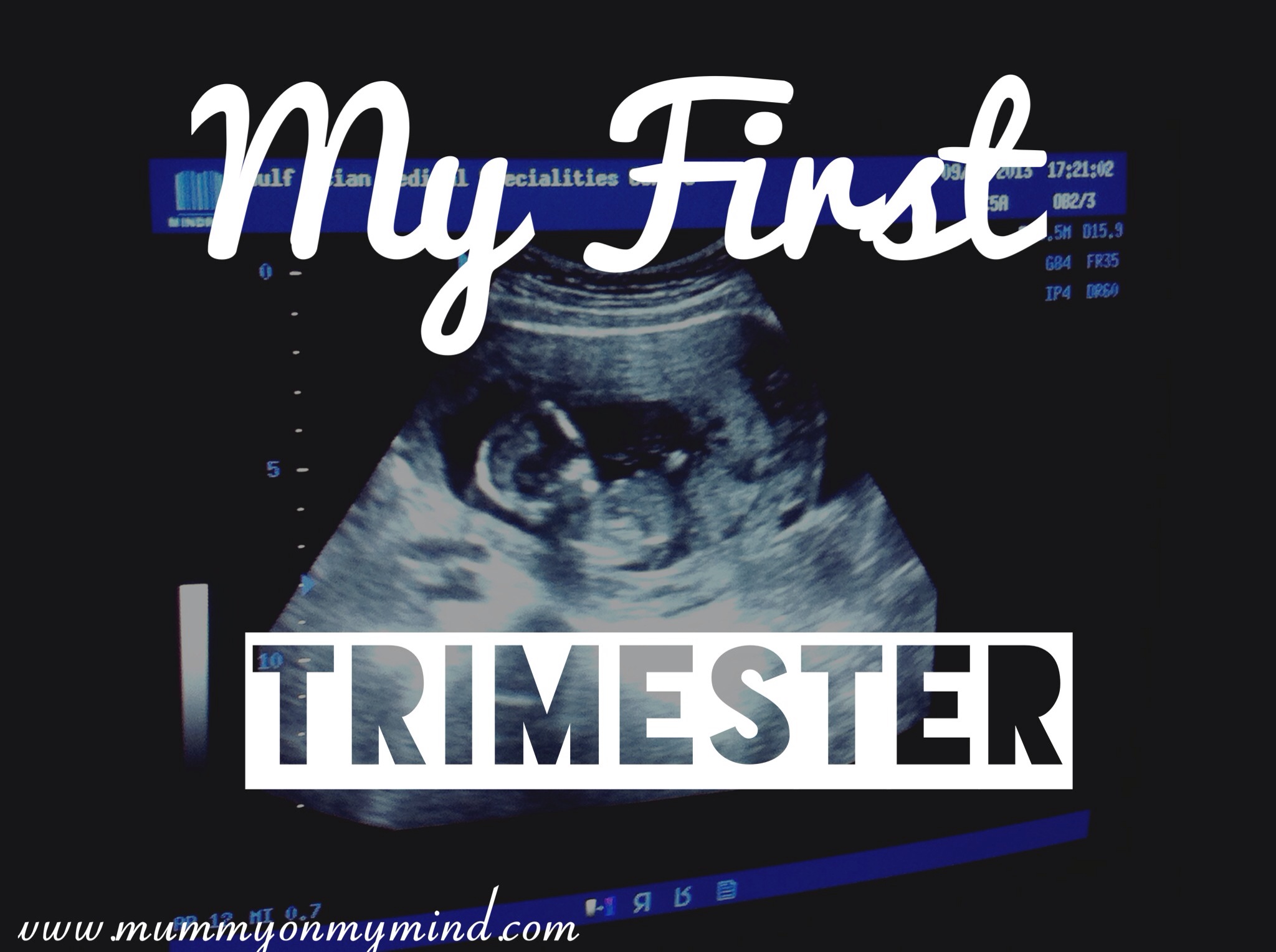 My First Trimester…