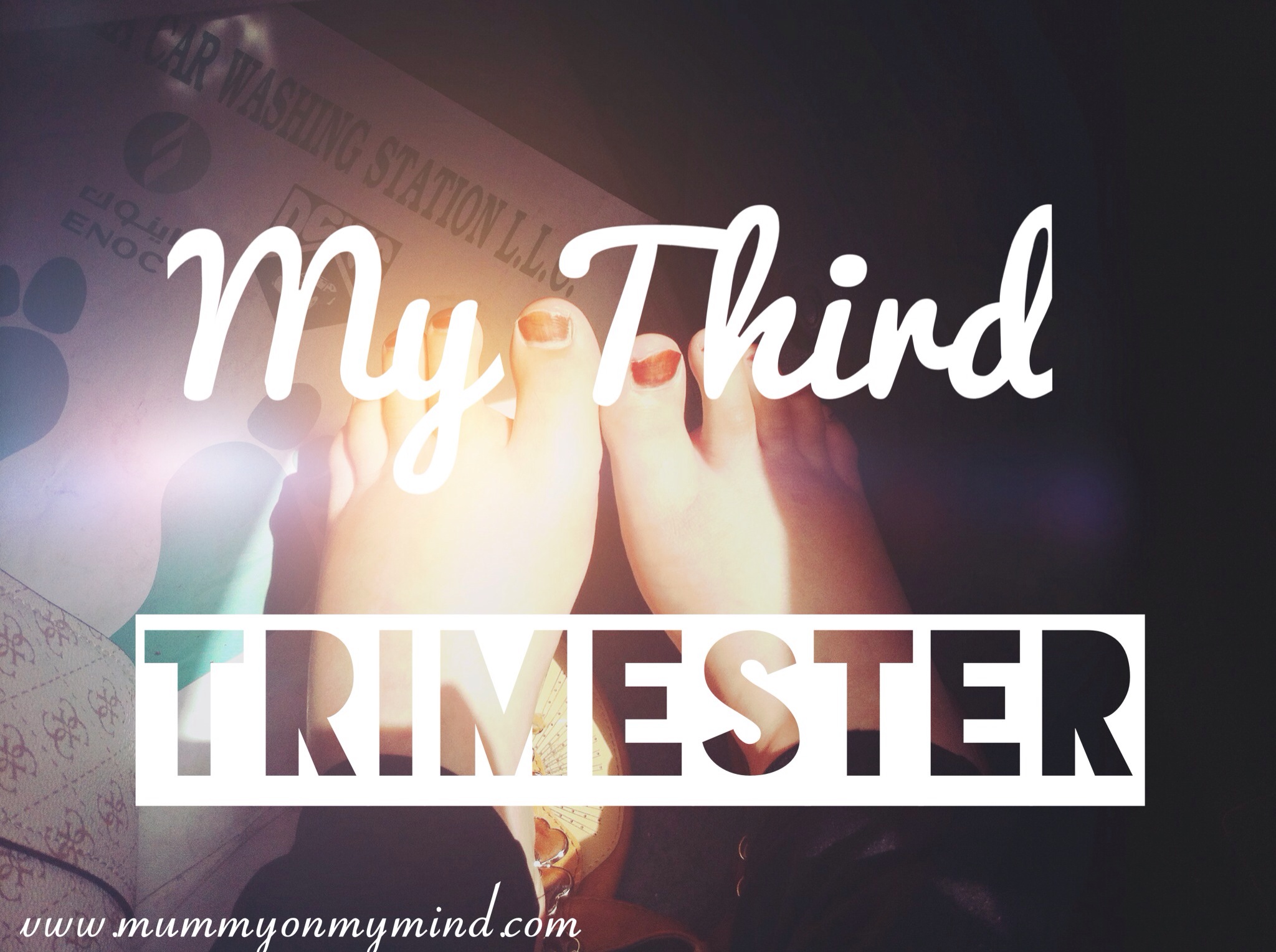 The Third Trimester…