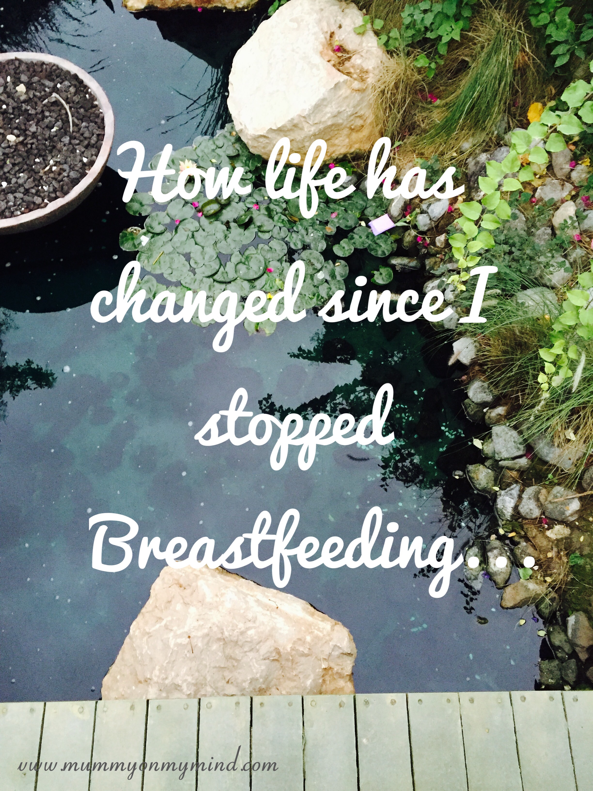 How life has changed since I stopped breastfeeding…